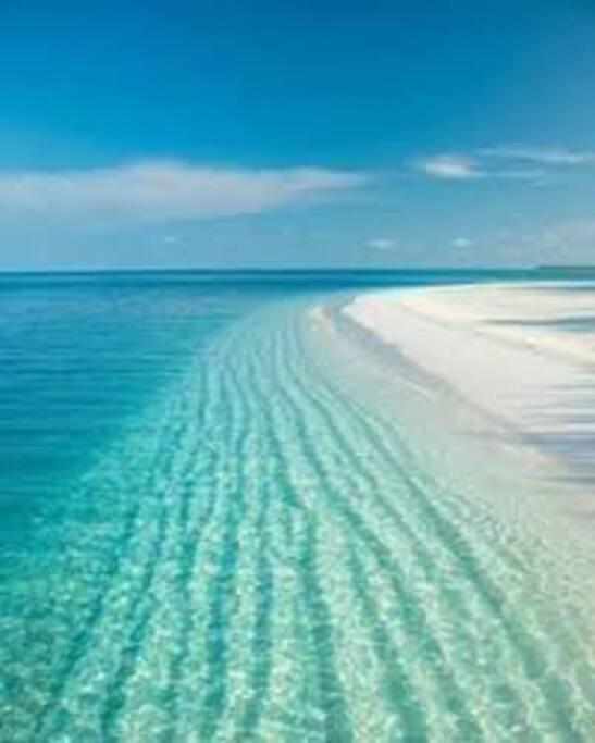 Villa Rowena House 2Bd Den 2Bth Heated Pool Near Siesta Key Sarasota Exterior foto